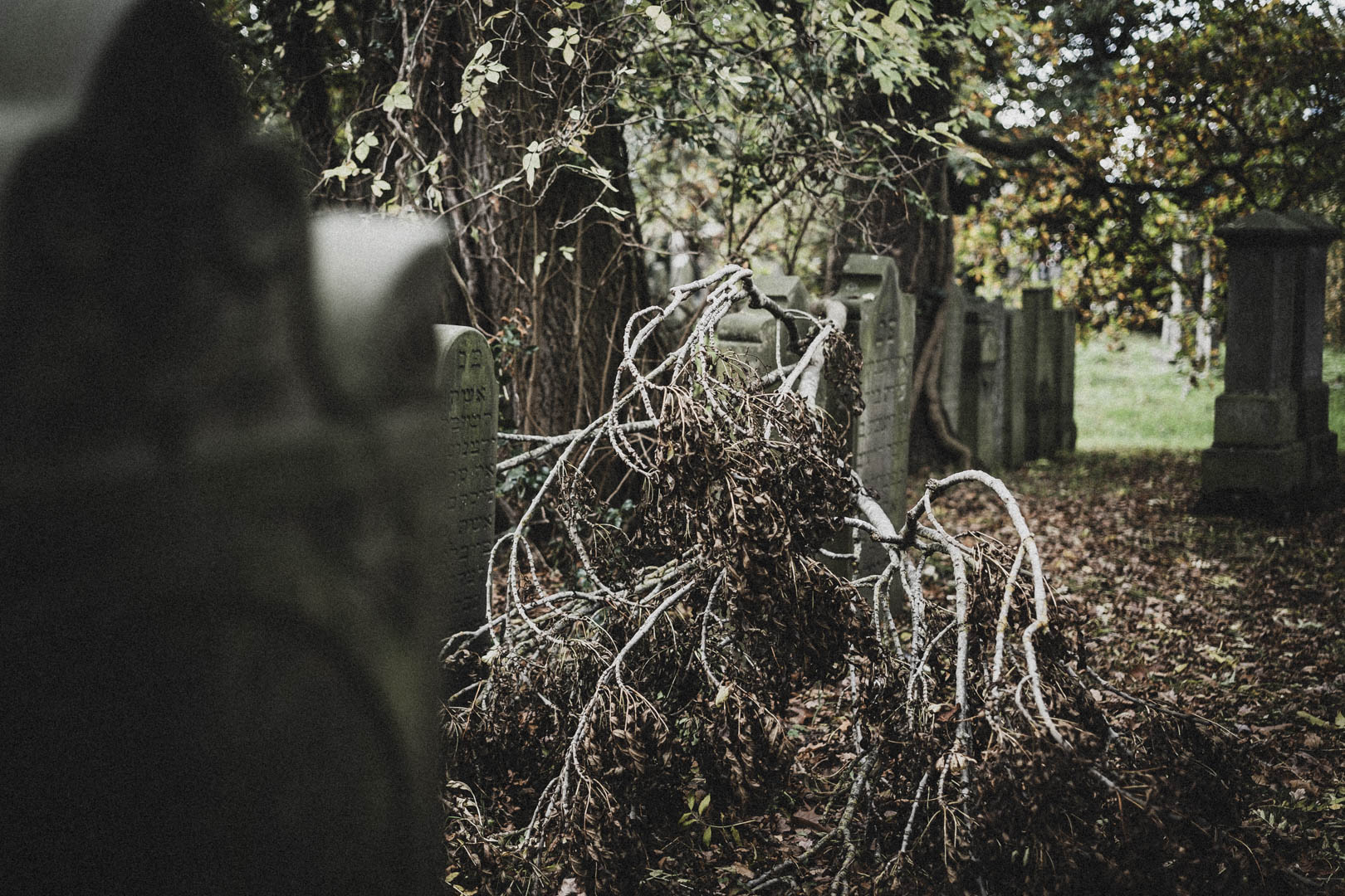 Aurich, jüdischer Friedhof
